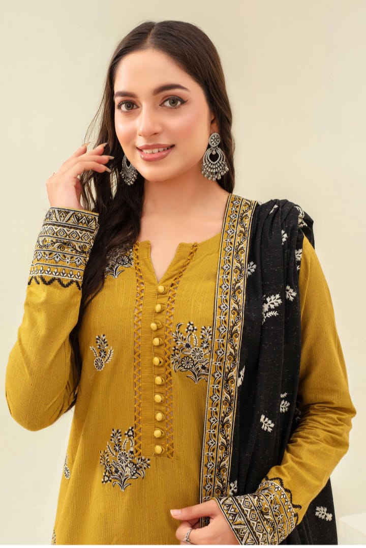 3 Piece Karandi Dyed based Embroidered Multi Neps My Store