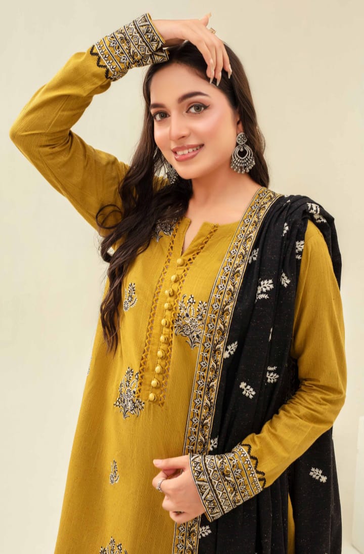 3 Piece Karandi Dyed based Embroidered Multi Neps My Store