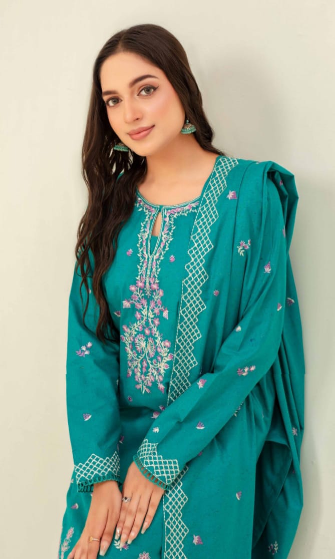 3 Piece Karandi Dyed based Embroidered Multi Neps My Store