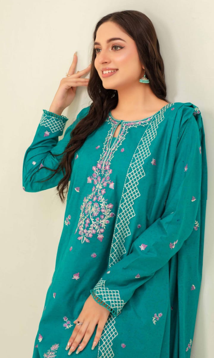 3 Piece Karandi Dyed based Embroidered Multi Neps My Store