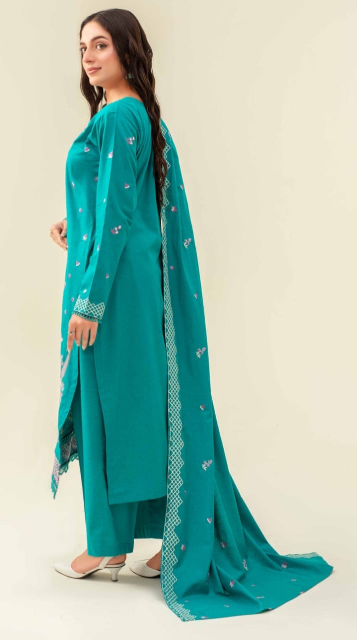 3 Piece Karandi Dyed based Embroidered Multi Neps My Store