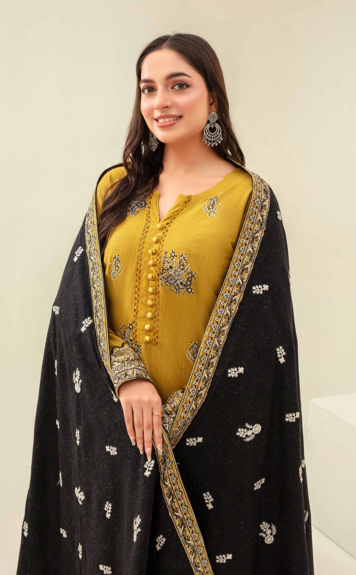 3 Piece Karandi Dyed based Embroidered Multi Neps My Store