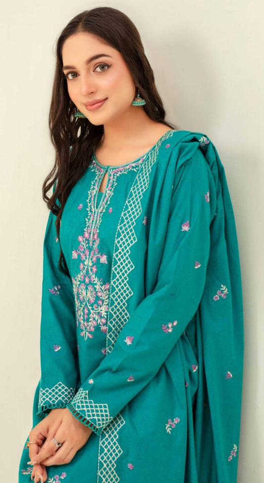 3 Piece Karandi Dyed based Embroidered Multi Neps My Store